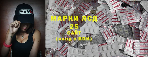 ПСИЛОЦИБИНОВЫЕ ГРИБЫ Алексин