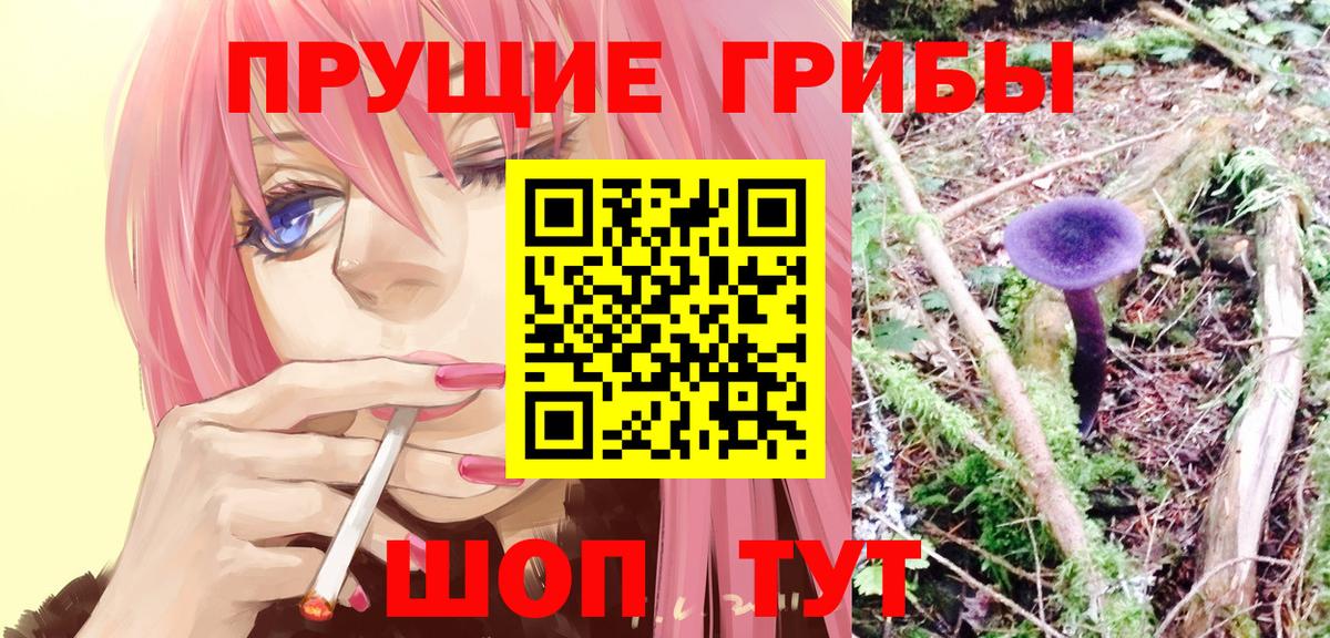 купить наркоту  Вход с VPN  Кореновск  Псилоцибиновые грибы прущие грибы 